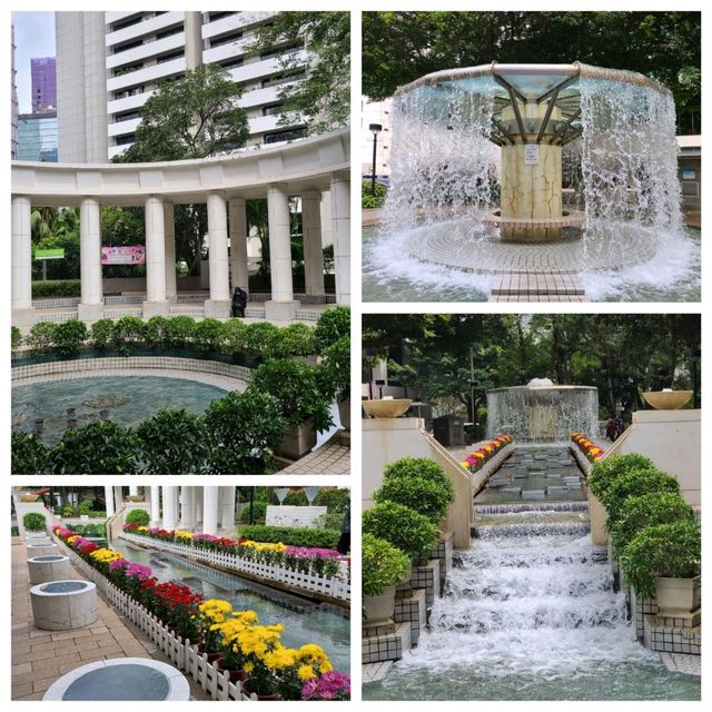 新春的香港公園x太古廣場🐇🎊🌺