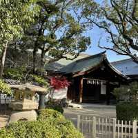 【福岡　箱崎】筥崎宮で銭洗い御神水