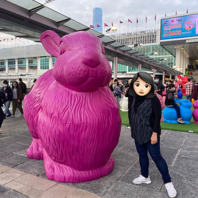 海港城彩虹兔仔大集合