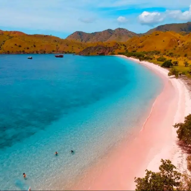 Sweet Escape to the Pink Beach