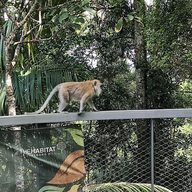 Penang Rainforest Discovery Centre