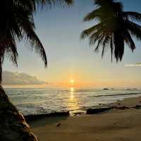 Seychelles beach sunrise ☀️😎✌🏼
