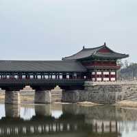 아름다운 한옥의 고장! 경주 🇰🇷✈️