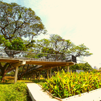 🏞️ปอดกลางกรุง