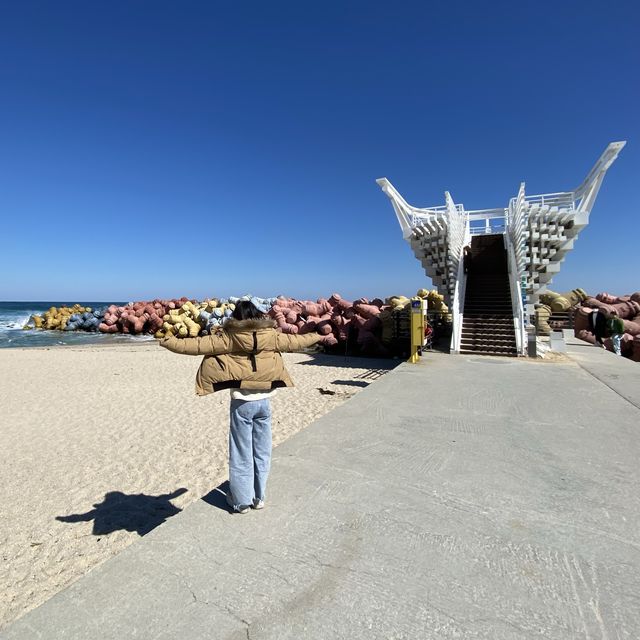 강릉 무지개방파제가 유명한 “사근진해변” 전망대 ⭐️