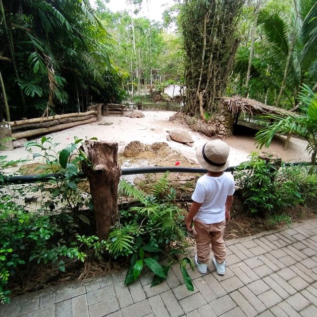 Cebu Safari and Adventure Park🏞️