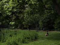 [네덜란드/암스테르담]🇳🇱제철 암스테르담을 즐기는 법! Vondel Park