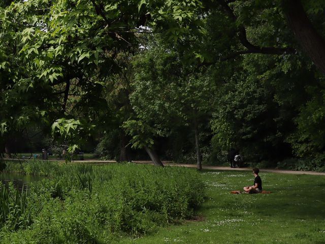 [네덜란드/암스테르담]🇳🇱제철 암스테르담을 즐기는 법! Vondel Park