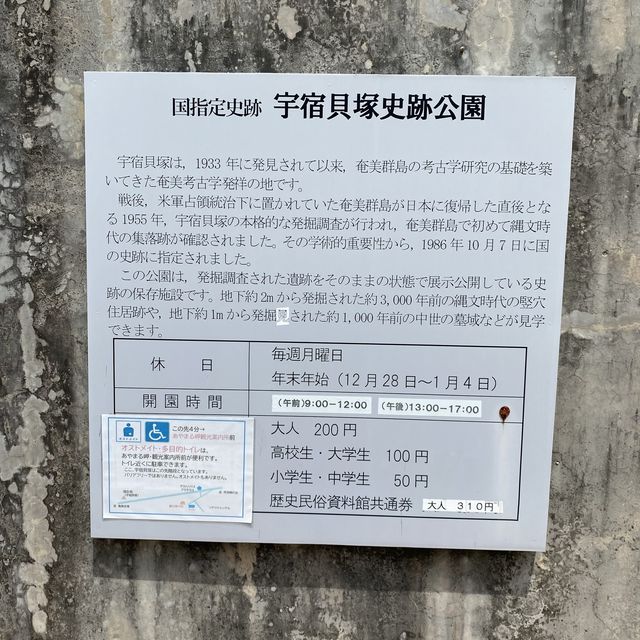 奄美大島「宇宿貝塚史跡公園」で歴史を感じる旅