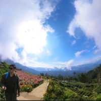 Northern Blossom Flower Farm