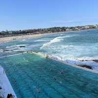 The famous Bondi Icebergs