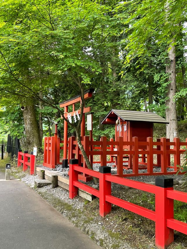 日本🗾三大名瀑🥰日光華嚴瀑布🤣東京出發2小時景點❤️