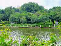 深圳中山公園