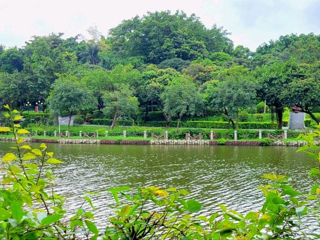 深圳中山公園