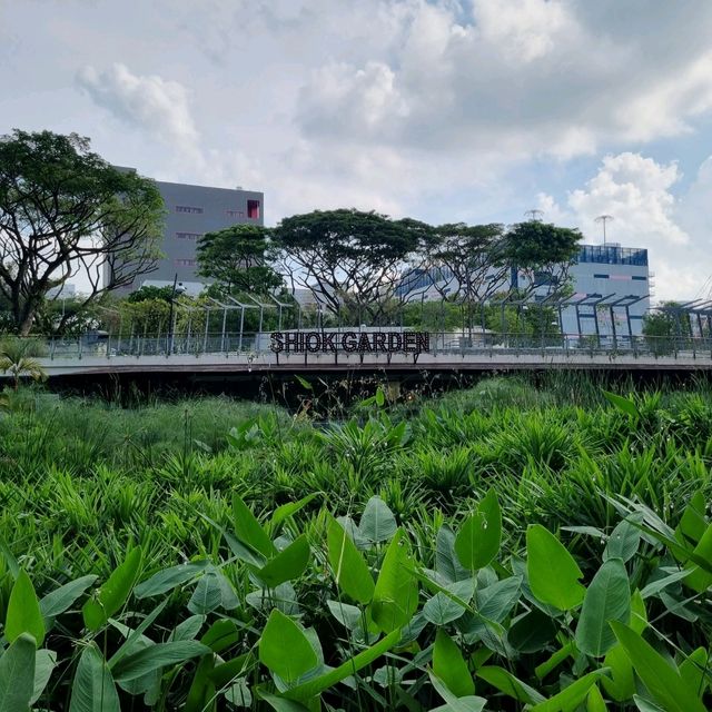 Relax with Nature At Admiralty Park