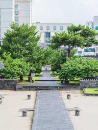 🌿여름빛 가득한 아름다운 제주 관아 [제주목관아]🍊