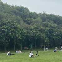打卡深圳中心蓮花山 輕鬆飽覽福田美景
