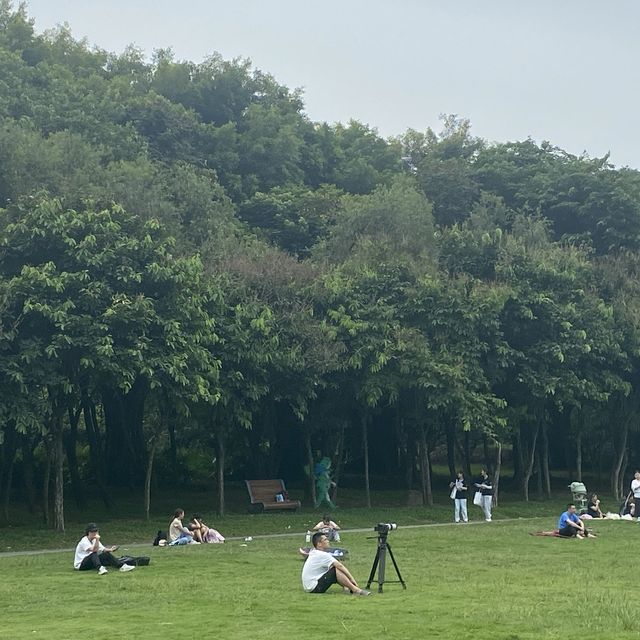 打卡深圳中心蓮花山 輕鬆飽覽福田美景