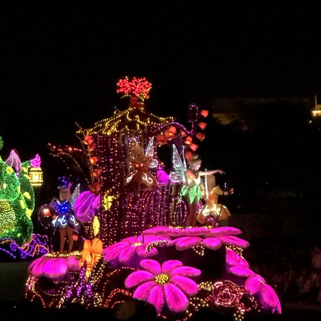 พาเหรดไฟสุดอลังที่โตเกียวดิสนีย์แลนด์!