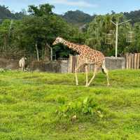 【臺北市立動物園】：樂學給合♡親子探索自然的夢幻之旅