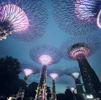 新加坡濱海灣花園壯觀Super Tree