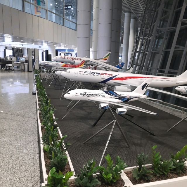 Beyond Boundaries, Together We Fly🛫