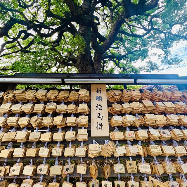 Meiji Jingu Shrine