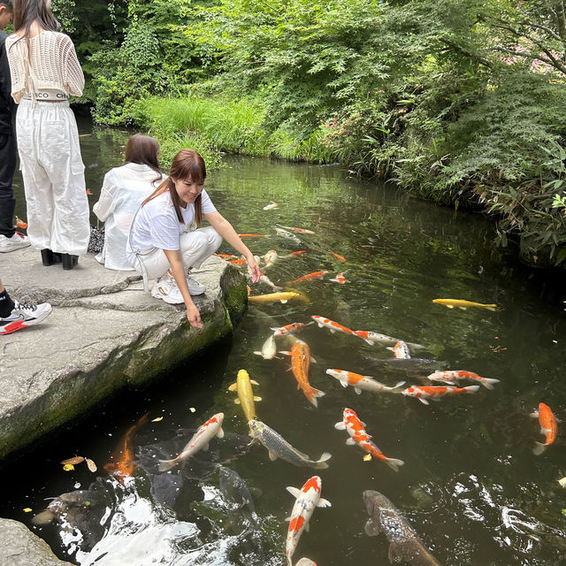 山口県　岩国市玖珂　いろり山賊