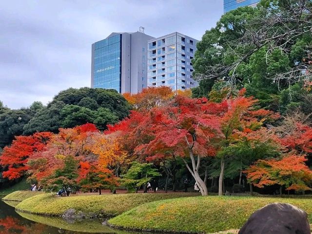 📍Koishikawa Korakuen Garden 🇯🇵