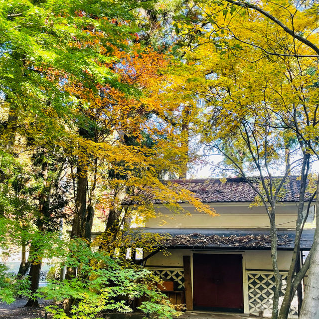 【長野県/紅葉が美しい🍁”出早雄小萩神社”と”出早公園”】