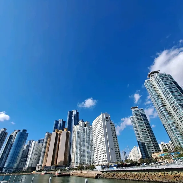釜山🇰🇷青沙浦天空步道紅白燈塔～海水湛藍🌊