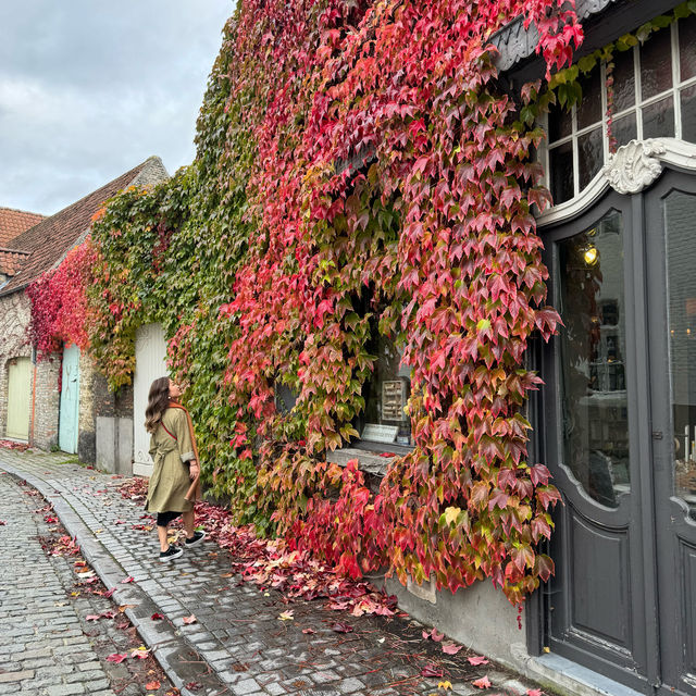 Autumn's Embrace: Bruges!