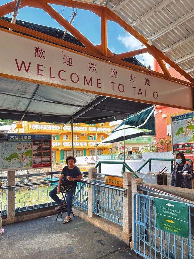 [香港] 體驗傳統道地的漁村 超有特色的棚屋文化-大澳漁村