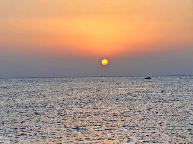 1월1일 일출맛집, 경북 울진🌅