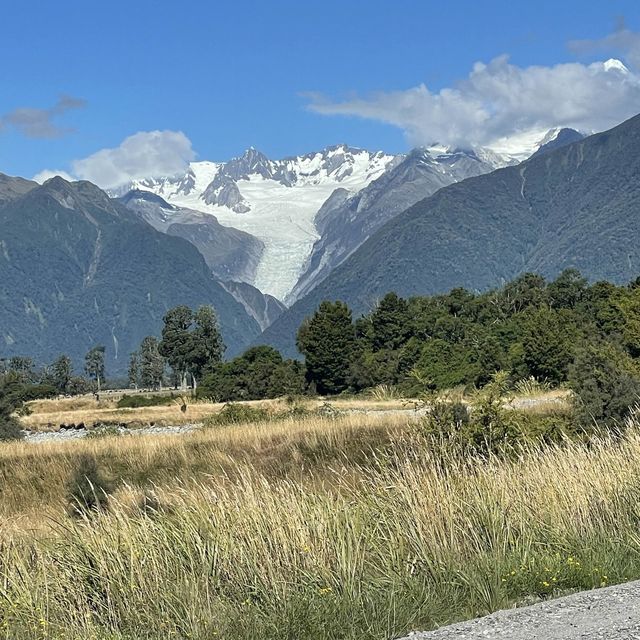 fox Glacier 