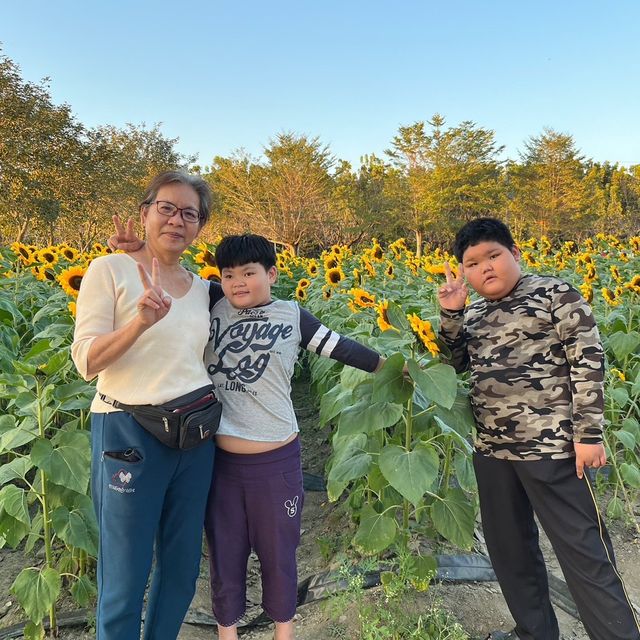 走春運動的好地方-屏東縣新埤鄉餉潭湖花海