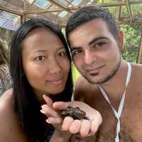 Turtle conservatory Karimunjava 