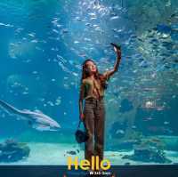 AQUARIA PHUKET 