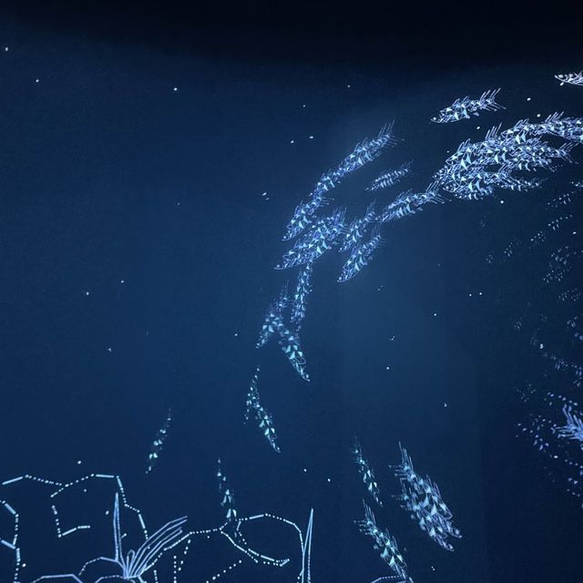 Xpark Aquarium in Taoyuan