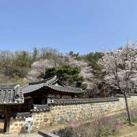 대전여행:: 봄꽃 가득한 우암사적공원🌸