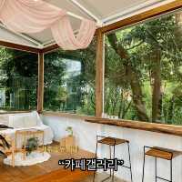 🌳☕️피톤치드 뿜뿜 “카페갤러리”