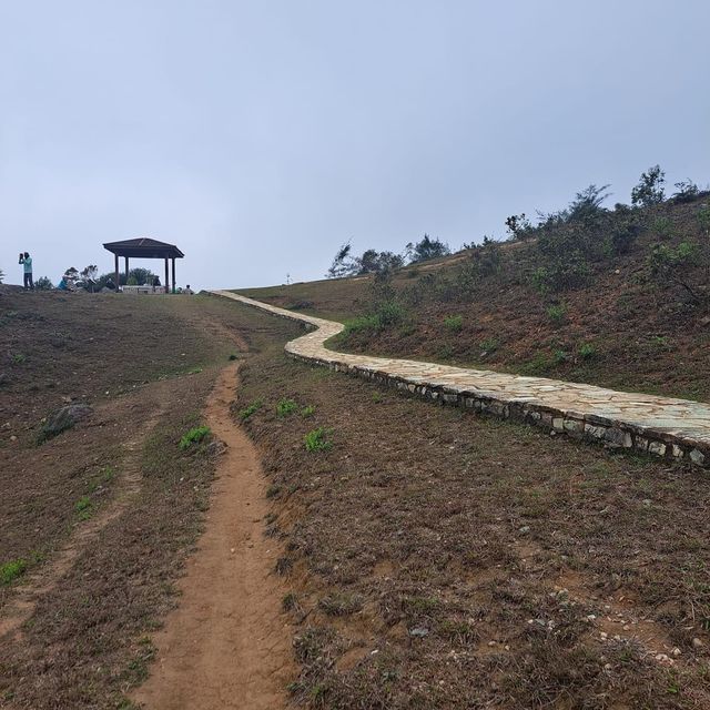 行山行山
