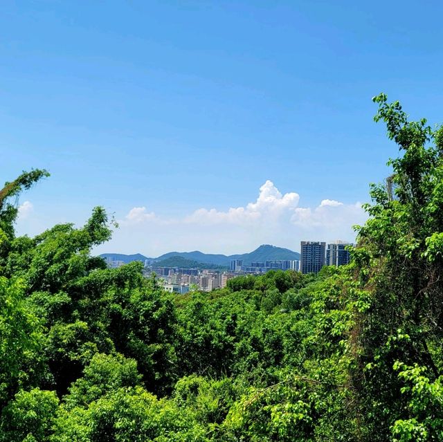 Peak of Tranquility: Bihaiwan Park🌳🌄