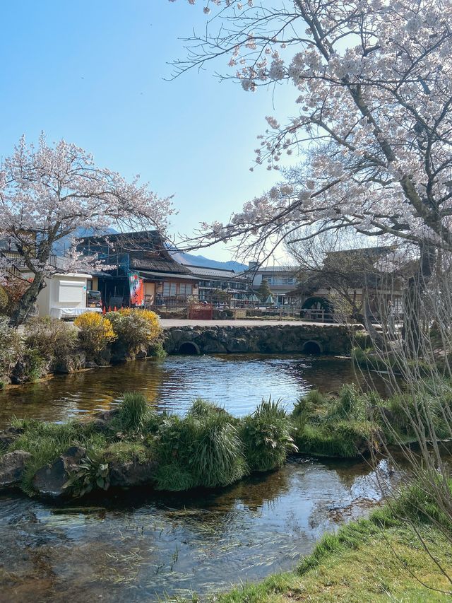 Oshino Hakkai Village