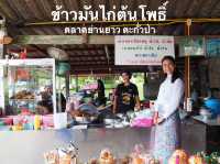 ข้าวมันไก่ต้นโพธิ์ ทางผ่านห้ามพลาด 