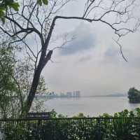 Sungei Buloh Wetlands Hike