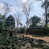 Ancient Temple - TaProhm Temple 