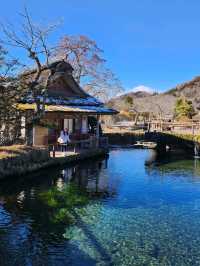忍野八海🏔看到富士山之世外桃園