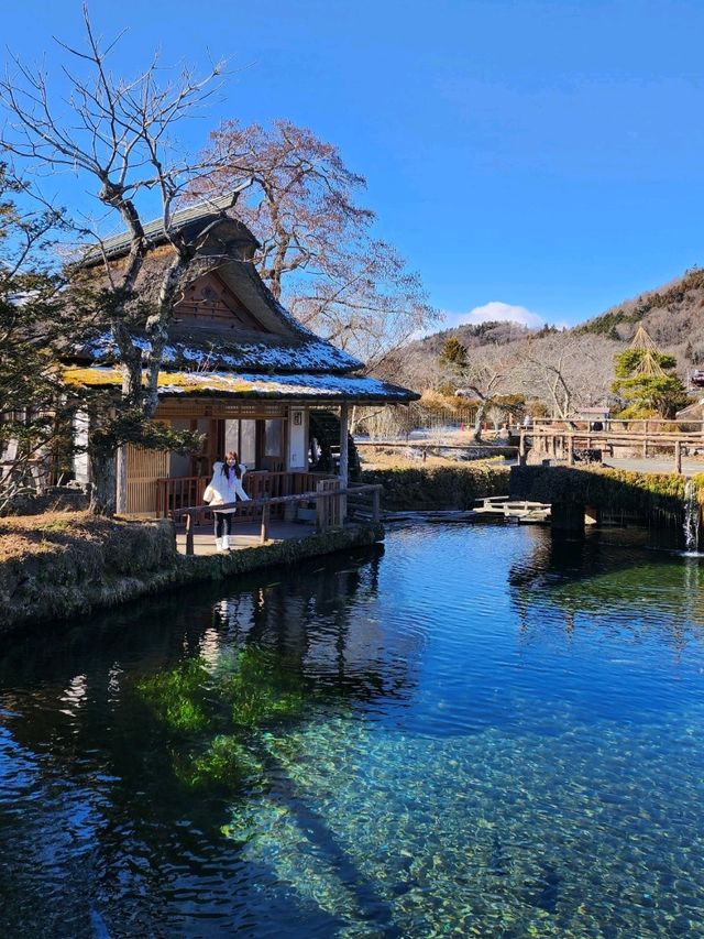 忍野八海🏔看到富士山之世外桃園
