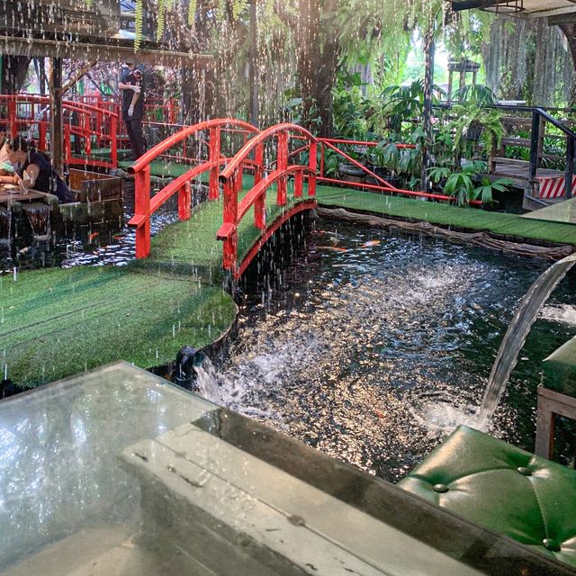 คาเฟ่ปลาคาร์ฟนับพันตัว - Carp Cafe
